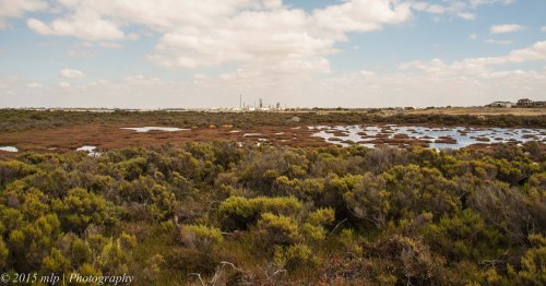 Jawbone Flora and Fauna Reserve, Williamstown, Vic -  looking west towards Altona