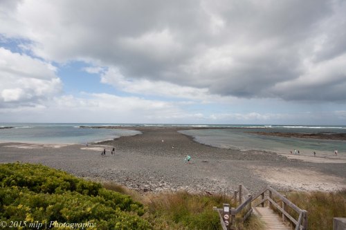 Mushroom Reef Marine Sanctuary - at low tide. At high tide the water comes up to the wooded steps
