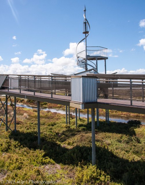 Cheetham Wetlands Observation Tower III