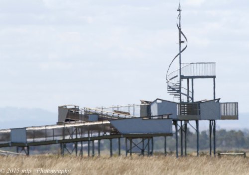 Cheetham Wetlands Observation Tower
