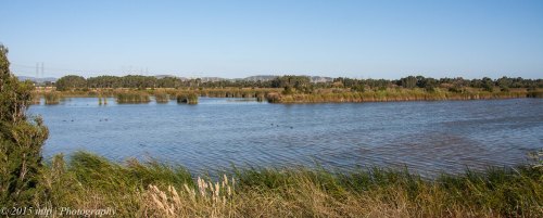 Dandenong Valley Wetlands