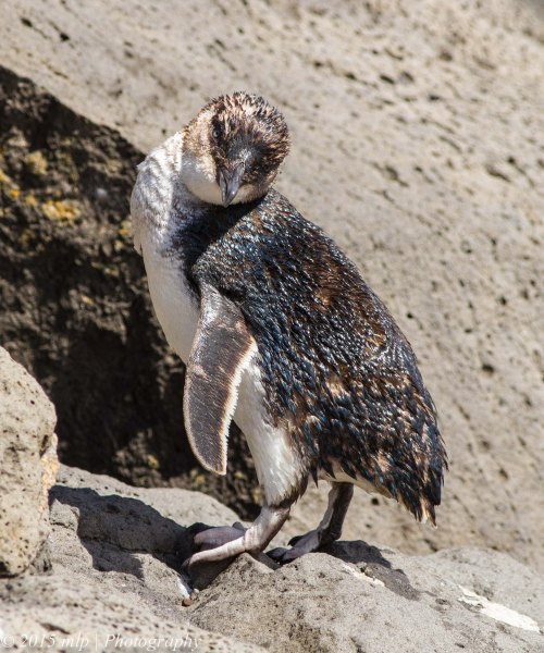 yes I am very cute aren't I?