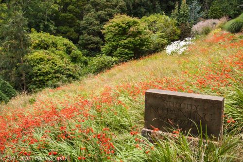 Red Field and stone sign (Art not a warning - I actually asked)