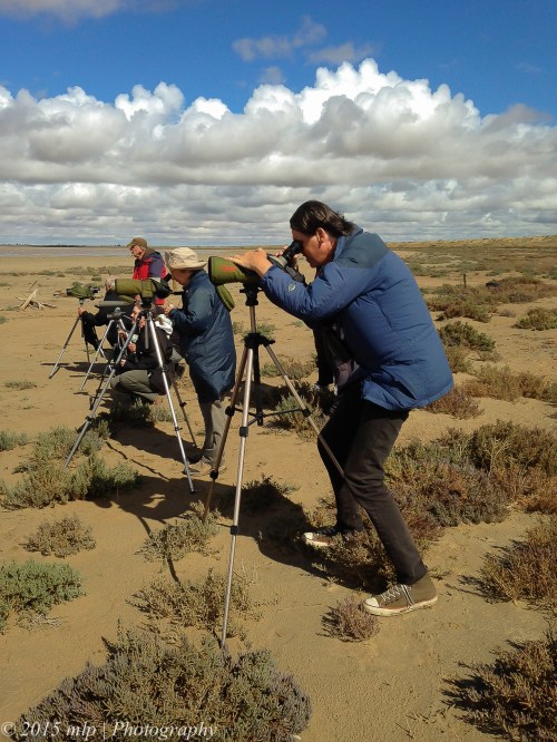 Spotting Scopes, Lake Tutchewop, Vic,