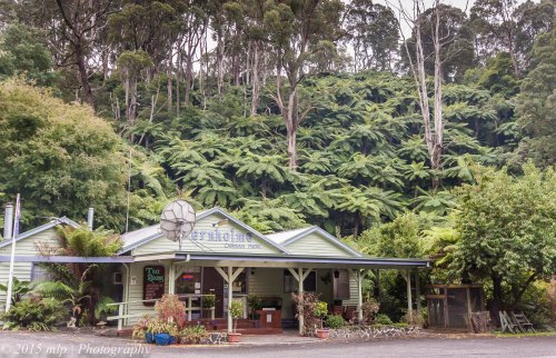 Fernholme Park, Tarra Valley,