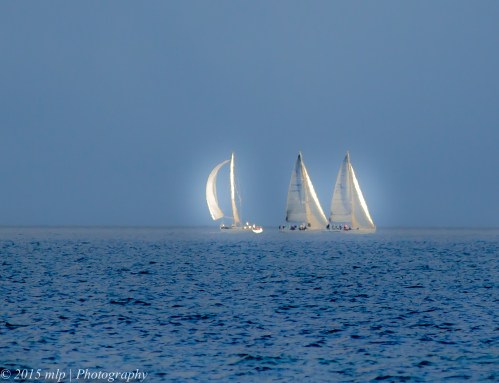 Yachts off Elwood Beach