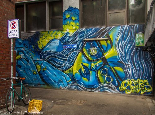 Croft Alley Chinatown, Melbourne CBD, 27 April 2015