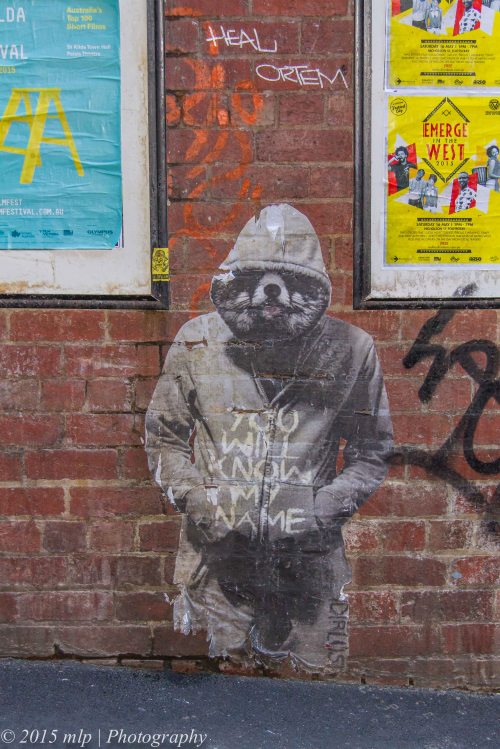 Street Art, Duckboard Place