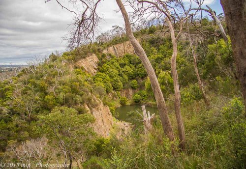 Top of the Quarry, Moorooduc Quarry Flora and Fauna Reserve
