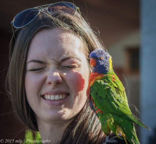 Mady and Arcus, Spray St, Elwood