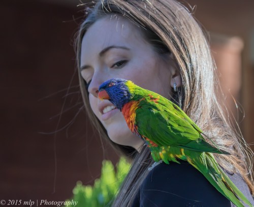 Mady and Arcus, Spray St, Elwood