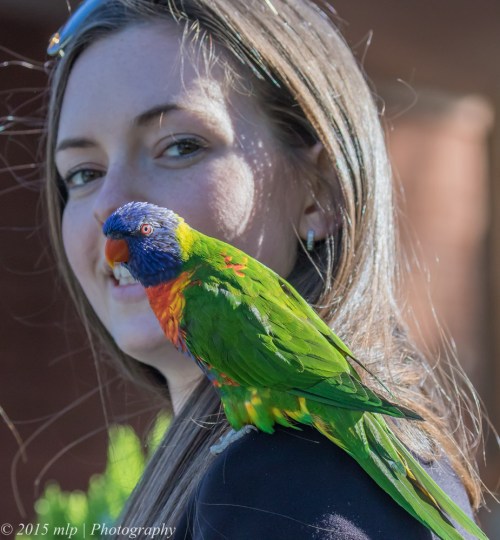 Mady and Arcus, Spray St, Elwood