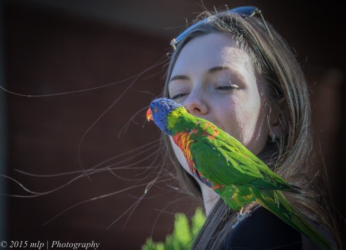 Mady and Arcus, Spray St, Elwood