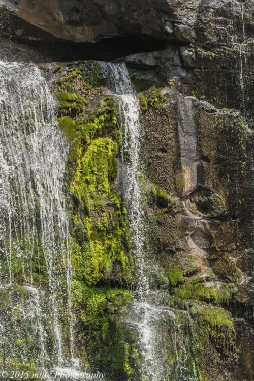 Stevenson Falls, Great Otway National Park