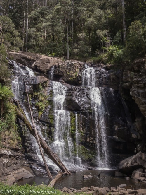 Stevenson Falls, Great Otway National Park