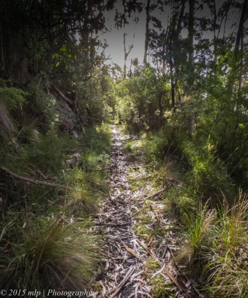 Old Hordern Vale Rd, Apollo Bay