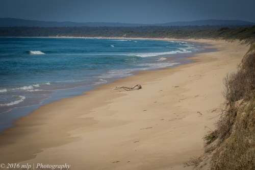 Cape Howe Wilderness Coast Line