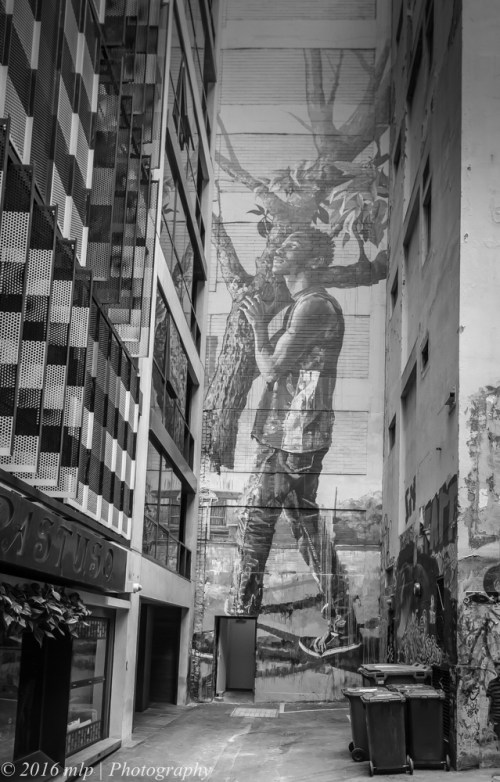 BW 2 ACDC Lane Man with Tree Mural, Melbourne CBD, 29 Feb 2016