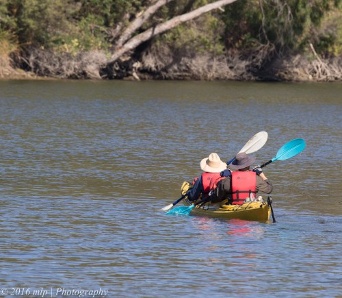 Kayakers, Glenelg River, Lower Glenelg National Park, Victoria