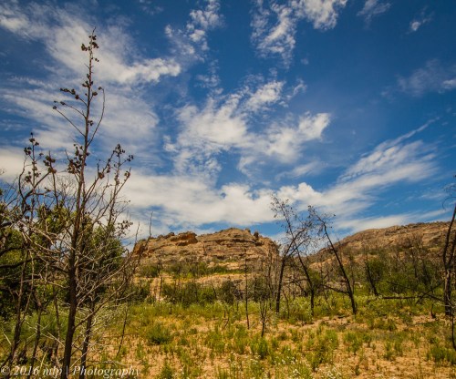 Mt Zero, Northen Grampians, Victoria