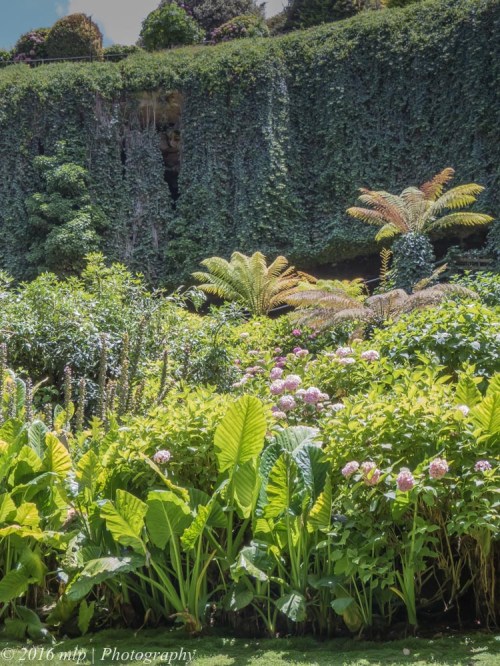 Umpherston Sinkhole Gardens, Mount Gambier, South Australia