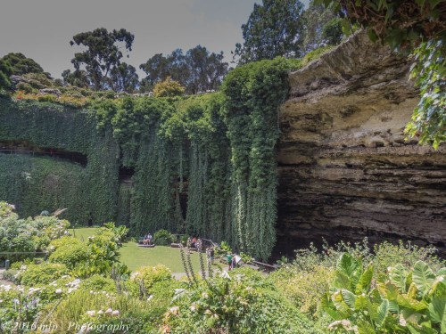 Umpherston Sinkhole Gardens, Mount Gambier, South Australia