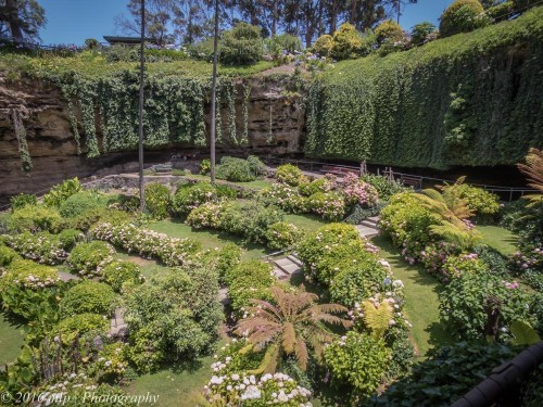 Umpherston Sinkhole Gardens, Mount Gambier, South Australia
