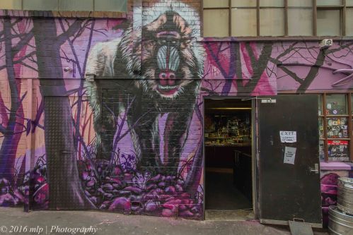 Streetart ACDC Lane, Melbourne CBD