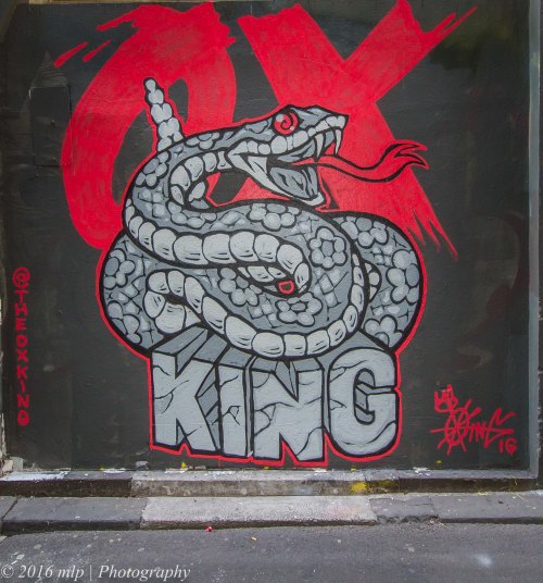 Street Art, Flinders Crt, Melbourne CBD, Victoria