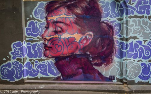 Street Art, Flinders Crt, Melbourne CBD, Victoria