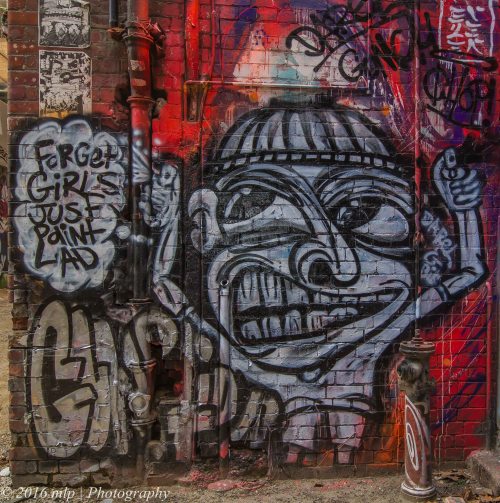 Forget Girls, just paint lad, Guerrilla Territory, McLean Alley, Melbourne CBD