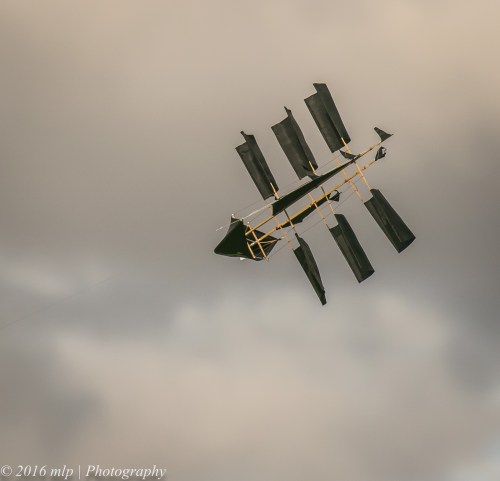 Pirate Kite, Point Ormond, Elwood Beach, Victoria