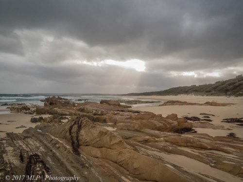 Bastian Point, Mallacoota, 17 Dec 2016