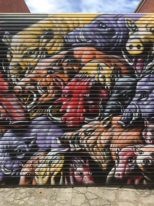 Artists Lane, Windsor December 2017