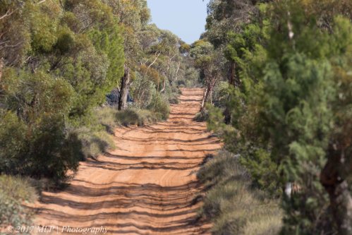 Konardin Track, Hattah Kulkyne National Park, Vic
