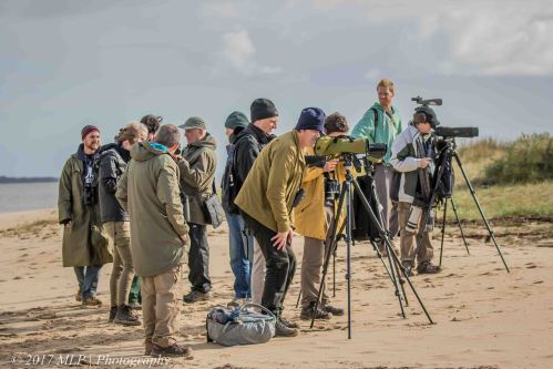 Stockyard Point Twitch, Jam Jerrup, Vic
